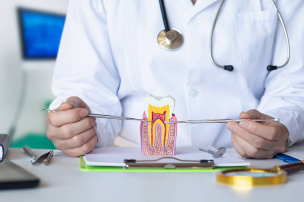 Best Emergency Dental Care for Trauma or Injury in Pinconning, MI